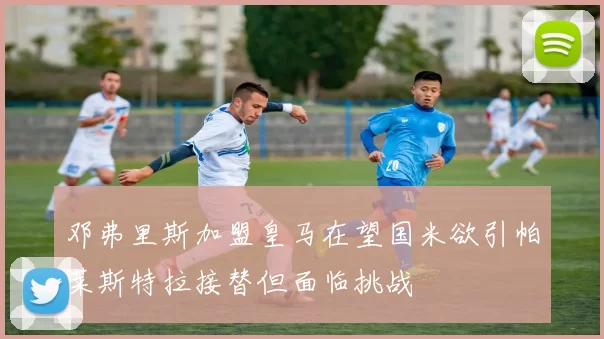 邓弗里斯加盟皇马在望国米欲引帕莱斯特拉接替但面临挑战