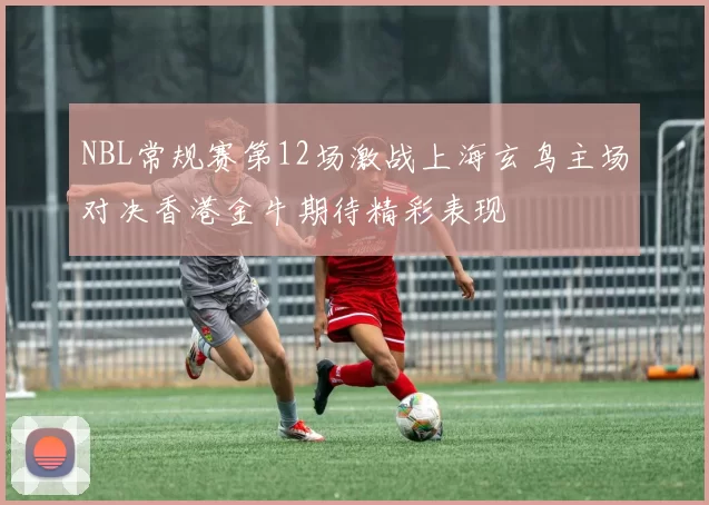 NBL常规赛第12场激战上海玄鸟主场对决香港金牛期待精彩表现